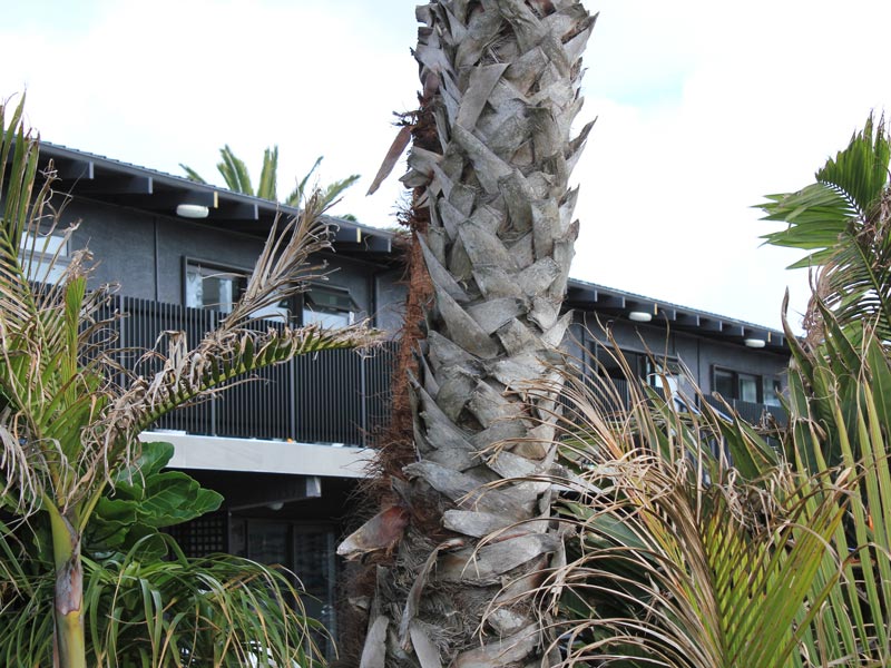 Euro Fin Balustrades